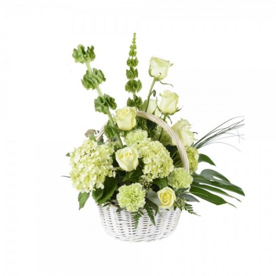 Le panier tout en vert Le panier tout en vert